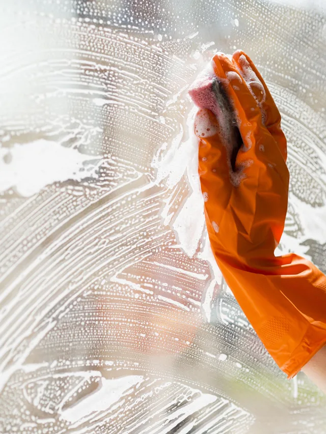 Window / Pressure Wash Cleaning